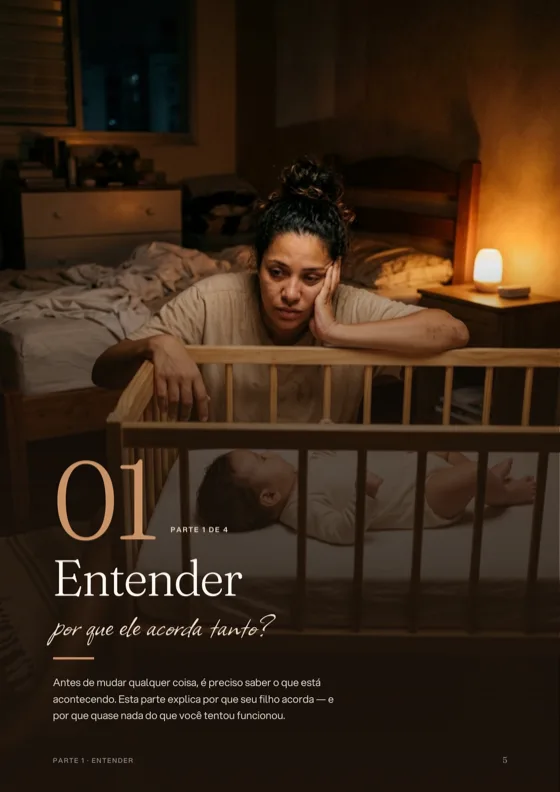Página 5 do e-book: Entender